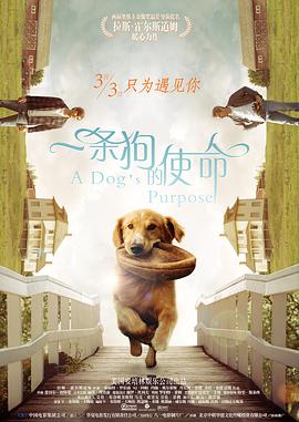 免费亚洲视频